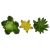 Komodo Succulents Yellow/Green Plant Decorations (3pk)