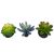 Komodo Succulents Blue/Green Plant Decorations (3pk)