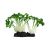 Komodo Sprouts Plant Decoration