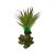Komodo Succulent 5" Plant Decoration