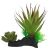 Komodo Succulent 5" Plant Decoration