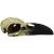 Komodo Raven Skull Habitat Decoration