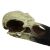 Komodo Raven Skull Habitat Decoration