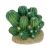 Komodo Barrel Cactus Plant Decoration