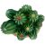Komodo Barrel Cactus Plant Decoration
