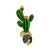 Komodo Flower Cactus 9" Plant Decoration