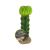 Komodo Moon Cactus Plant Decoration
