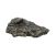 Komodo Magnetic Gecko Standard Ledge