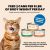 Almo Nature Complete HQS Chicken Recipe with Carrots in Gravy Grain-Free Canned Cat Food 24x2.47oz