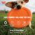 West Paw Zisc Dog Toys