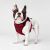 Canada Pooch The Everything Dog Harness