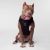 Canada Pooch The Everything Dog Harness