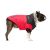 Canada Pooch Eco North Parka
