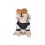 Canada Pooch Eco North Parka