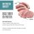 Tiki Dog Born Carnivore Protein Booster Chicken and Duck Recipe in Broth Topper for Dogs 12 x 2.1oz