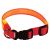 Animal Treasures LED Dog Collar - Orange