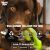 West Paw Tizzi Dog Toys