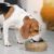 Goo-eez Rounded Mango Wood with Stainless Steel Bowl