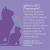 Vetality Harmony Pet Calming Spray for Cats - 75 ml