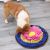 PawzNDogz Divine Lotus Anti-Bite Snuffle Mat For Dog- Challenge Level 3