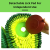 PawzNDogz Delicious Avocado Anti-Bite Snuffle Mat For Dog- Challenge Level 3