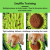 PawzNDogz Delicious Avocado Anti-Bite Snuffle Mat For Dog- Challenge Level 3