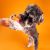 WAGLAB Play Stack The Spinner Interactive Dog Toy