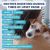 Under the Weather Rice & Chicken Freeze Dried Bland Diet For Dog - 6oz