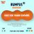 West Paw Rumpus Dog Toys