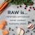 Instinct Raw Boost Whole Grain Salmon and Brown Rice Recipe Dry Dog Food