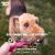 West Paw Drifty Dog Toys