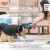 West Paw Drifty Dog Toys