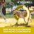 Dogswell Hip & Joint Chicken Grillers Dog Treat - 12oz