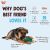 West Paw Funnl Dog Toys