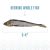 Icelandic+ Herring Whole Fish Dehydrated Dog Treats