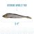 Icelandic+ Herring Whole Fish Natural Cunchy Cat Treats 1oz