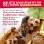 Charlee Bear Necessities Freeze-Dried Raw Pork Recipe for Skin + Coat Support Meal Topper for Dogs