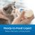PetAg KMR Kitten Milk Replacer Liquid - 16oz