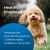PetAg Bene-Bac Plus Pet Powder 16oz