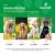 NaturVet Scoopables Advanced Probiotics & Enzymes Supplement Soft Chews for Dogs - 45 Scoops