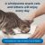 PetAg Cat-Sip Real Milk Supplements for Cats & Kittens 4 x 8oz