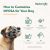 The Company Of Animals Baskerville INVISA Muzzle
