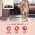 Acana Indoor Entree With Free-Run Chicken and Turkey Dry Cat Food
