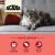 Acana Highest Protein Indoor Cat With Free-Run Chicken, Salmon, and Trout Grain-Free Dry Cat Food