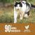 Orijen Original Free-Run Chicken, Turkey, and Wild Caught Fish Dry Cat Food