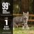 Orijen Six Fish Freeze Dried Cat Treats - 35g