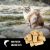 Orijen Six Fish Freeze Dried Cat Treats - 35g
