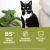 Acana Lamb Recipe Premium Pate in Bone Broth Canned Cat Food