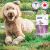 Cannabiscuit Calming Dog Supplements - 225 gram, 97 soft chews