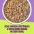 Wellness Protein Bowls Chicken, Quinoa & Pumpkin Recipe Dog Food Pouches - 12 x 6.2oz